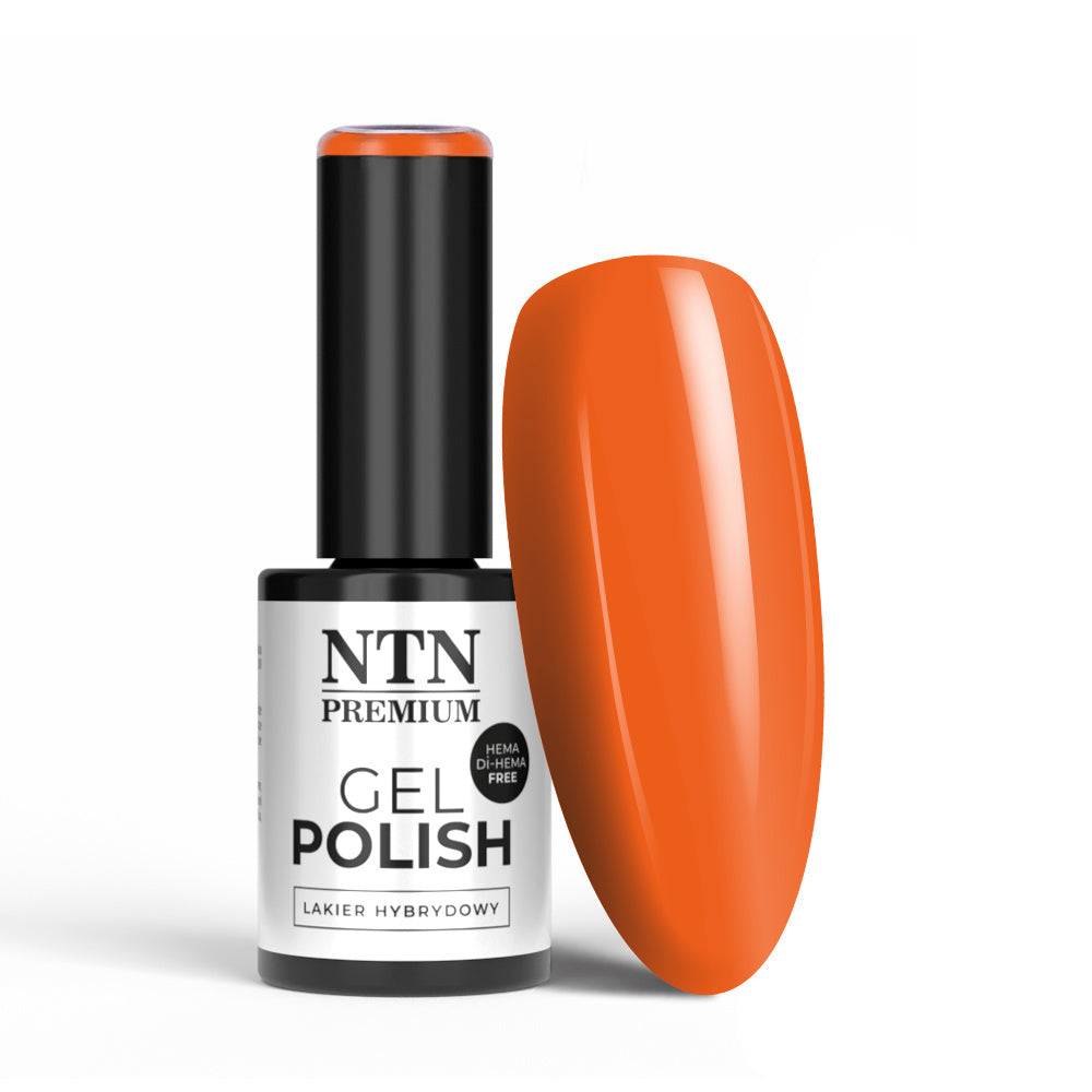 NTN Premium geelilakka 5g sävy 337 oranssi