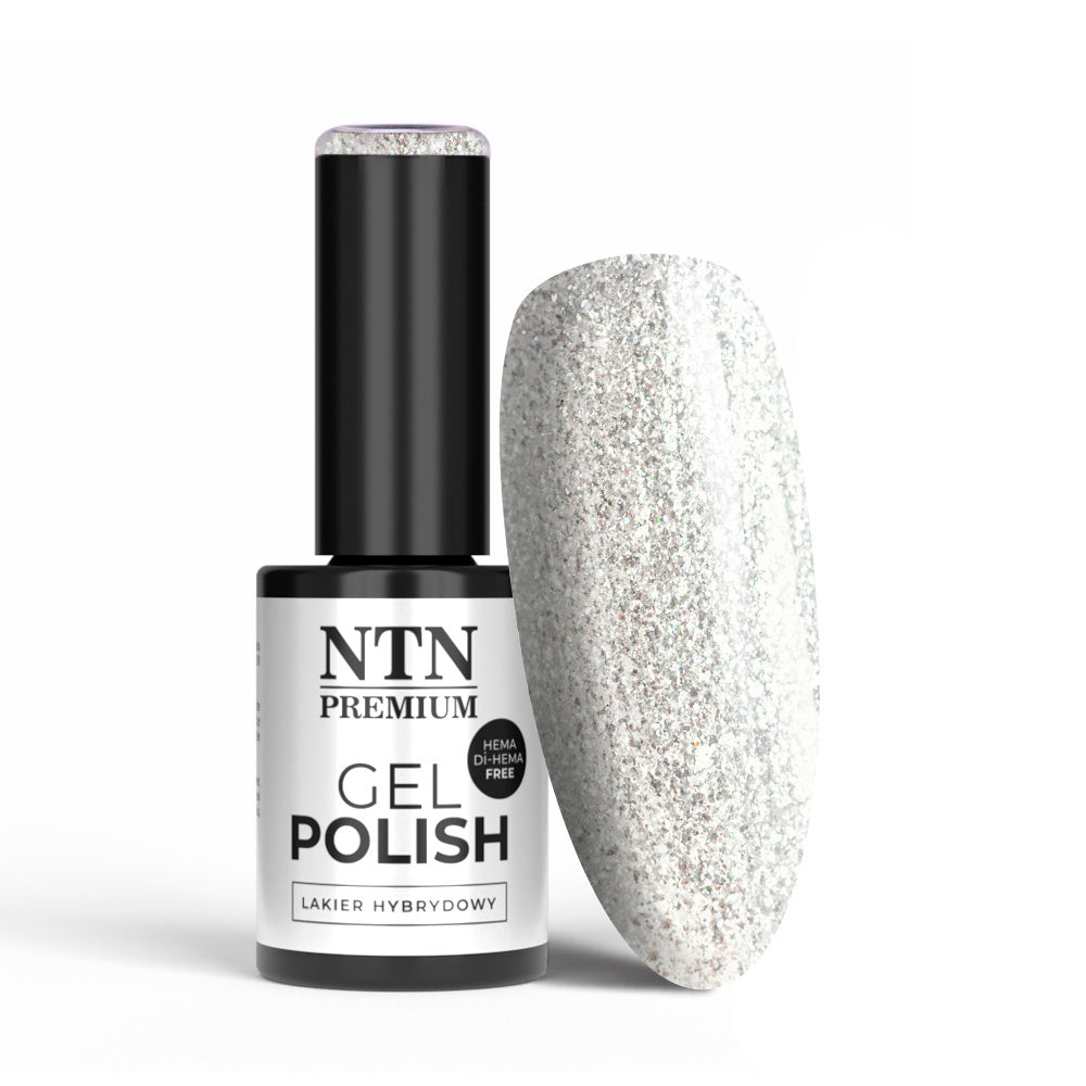 NTN Premium geelilakka 5g sävy 317 hopea glitter