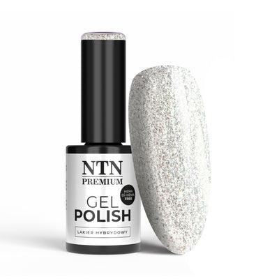 NTN Premium geelilakka 5g sävy 317 hopea glitter