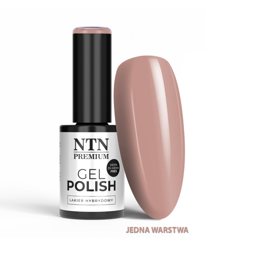 NTN Premium geelilakka 5g sävy 14 nude beige