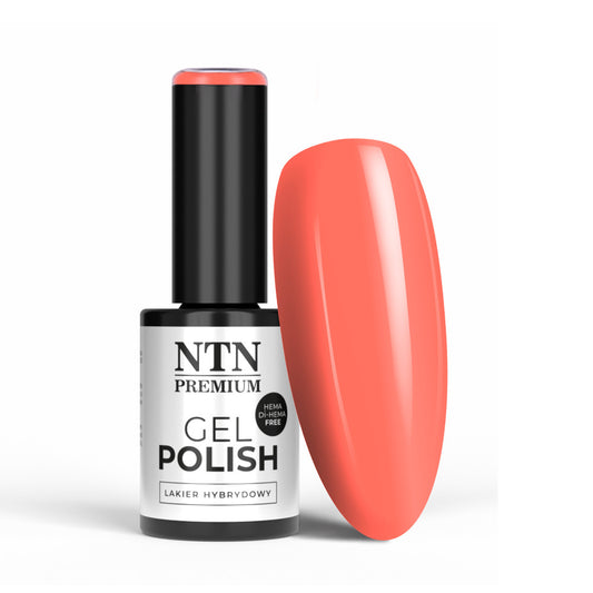 geelilakka-ntn-premium-152