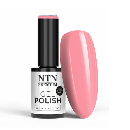 ntn-premium-geelilakka-141